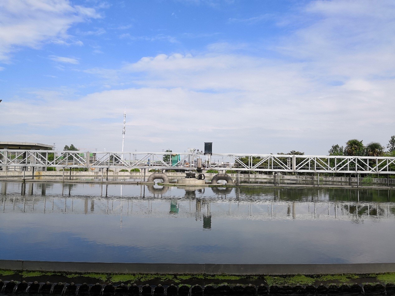 1541443292210682.jpg 5.jpg